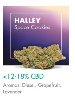 Halley flowers 5g