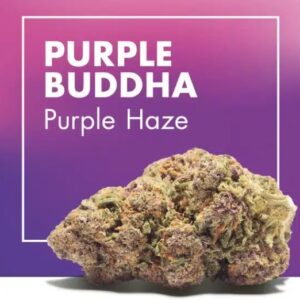 Purple Buddha 2g