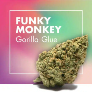 Funkey Monkey 2g flower
