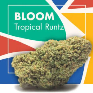 BLOOM (Tropical Runtz) CBD Flowers