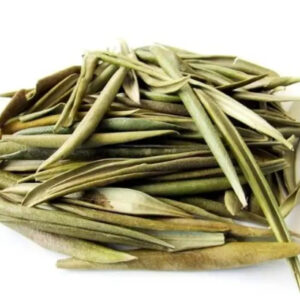Herbal Tea - Olive Leaf Oliveira Folhas